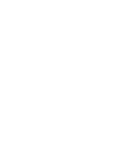 Virtus-Icon-White-with-Shadow